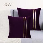 Velvet Cushions